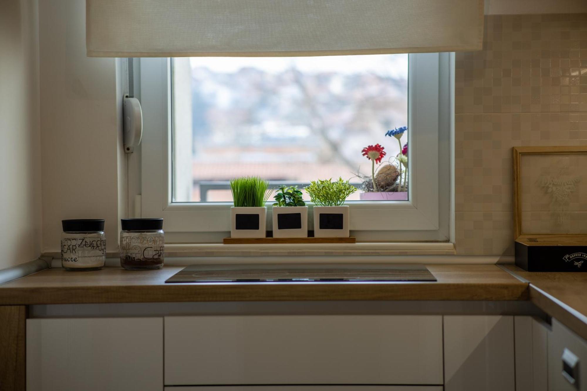 Apartmani Hemera Valjevo Ngoại thất bức ảnh